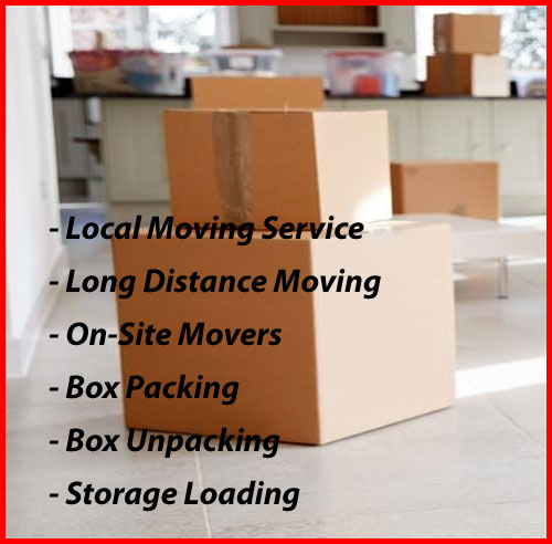 Packers And Movers Noida Sector 161